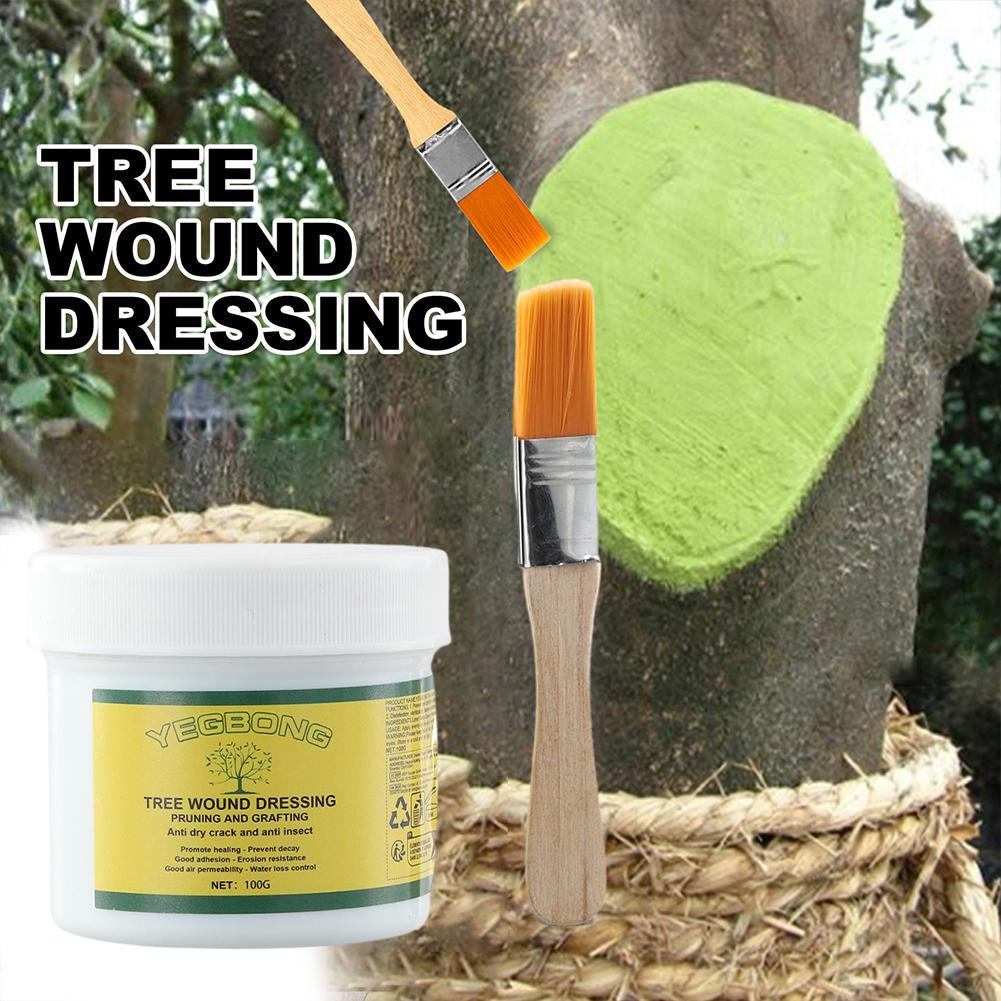 Pasta de injerto de árboles, 1 - Rooting Hormone Powder reseña y precio