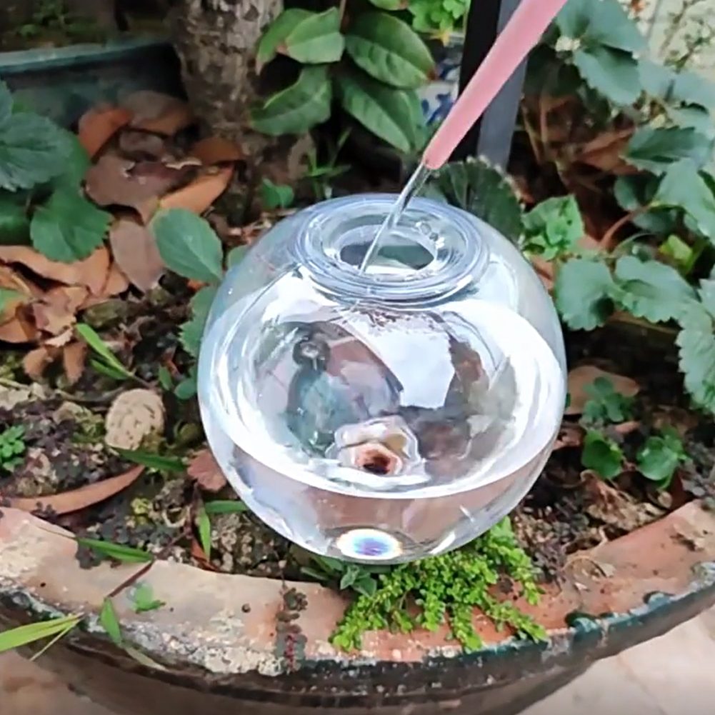 Globos de Riego Automático de  - Self Watering Insert reseña y precio