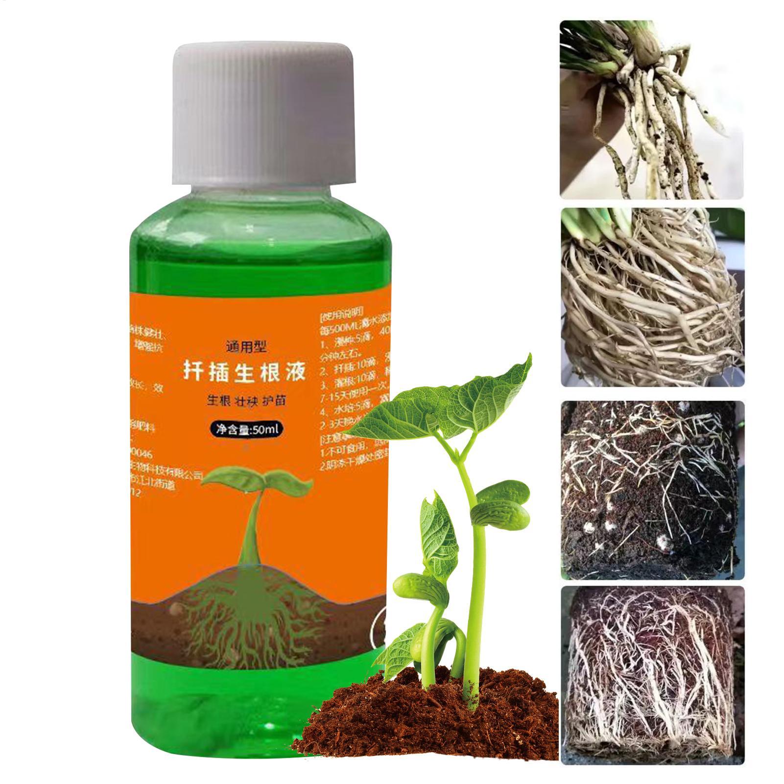 Estimulador de Raíces de Alta  - Root Stimulator Liquid reseña y precio
