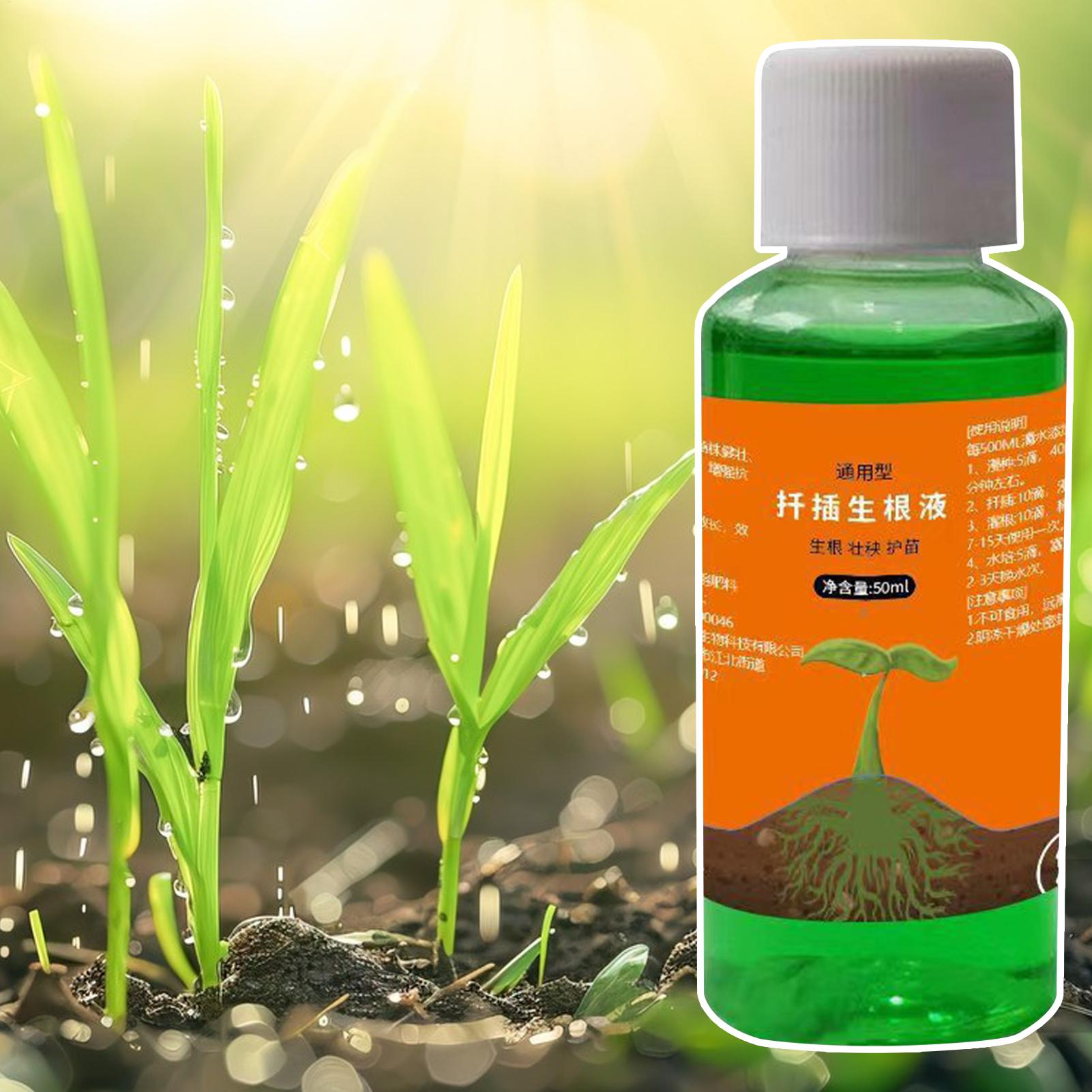 Estimulador de Raíces de Alta  - Root Stimulator Liquid reseña y precio