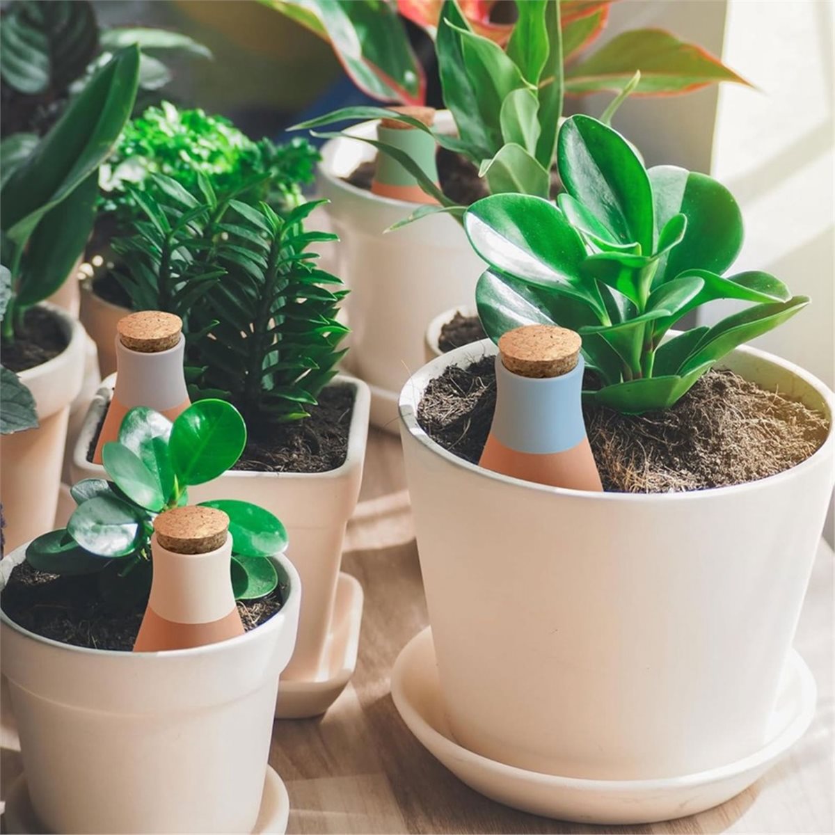 A20I 4 unidades de espigas de  - Self Watering Insert reseña y precio