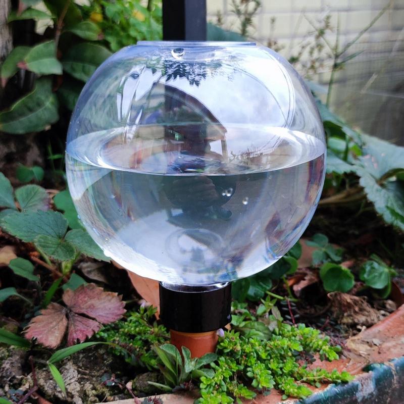 Bombillas de riego de plantas, - Self Watering Insert reseña y precio