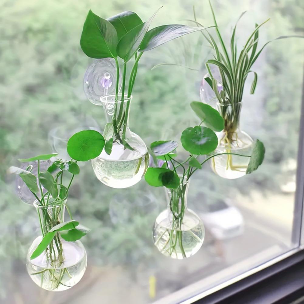 1/2/3/4/6/8 Piezas Bulbo de Pr - Propagation Station Vase reseña y precio