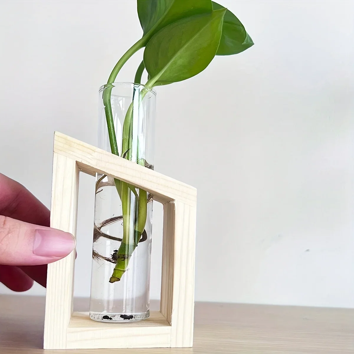 Tubo de ensayo, florero de vid - Propagation Station Vase reseña y precio