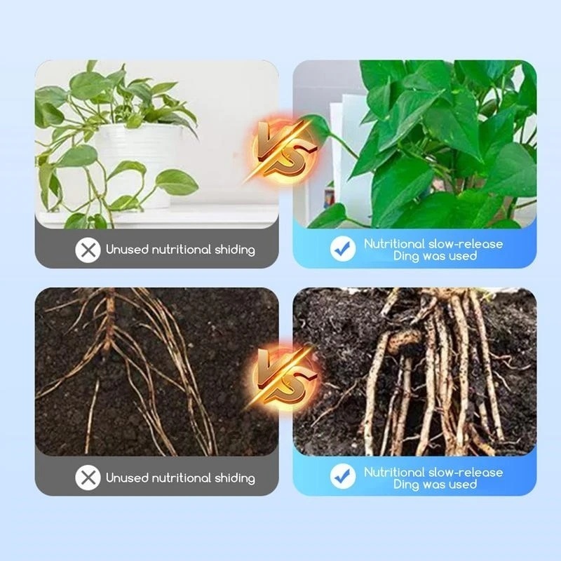 Polvo de hormona de enraizamie - Rooting Hormone Powder reseña y precio
