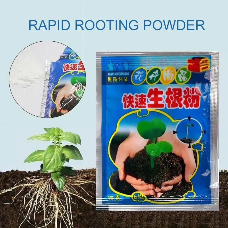 5 uds. De polvo de enraizamien - Rooting Hormone Powder reseña y precio
