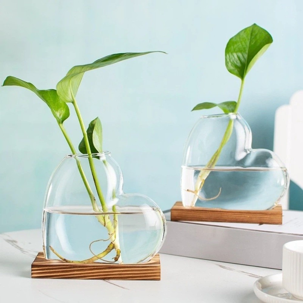 Jarrón de Vidrio Transparente  - Propagation Station Vase reseña y precio