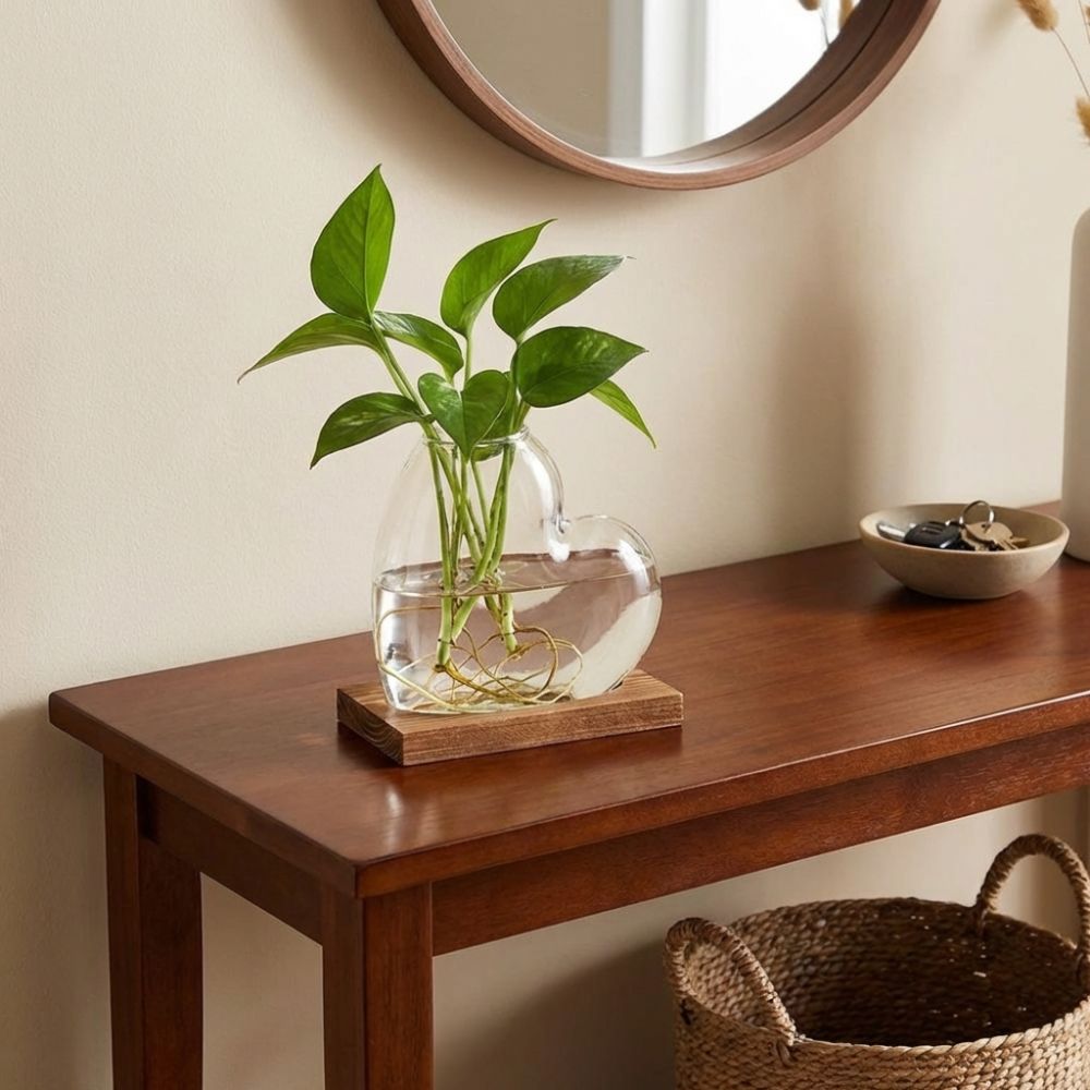 Jarrón de Vidrio Transparente  - Propagation Station Vase reseña y precio