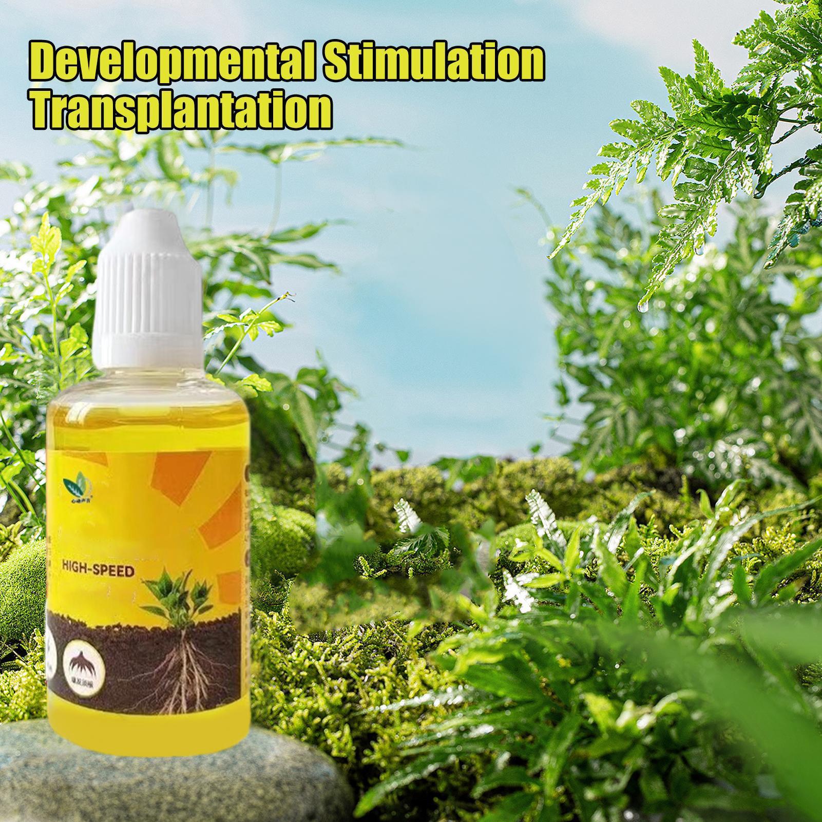 Suplemento de solución nutriti - Root Stimulator Liquid reseña y precio