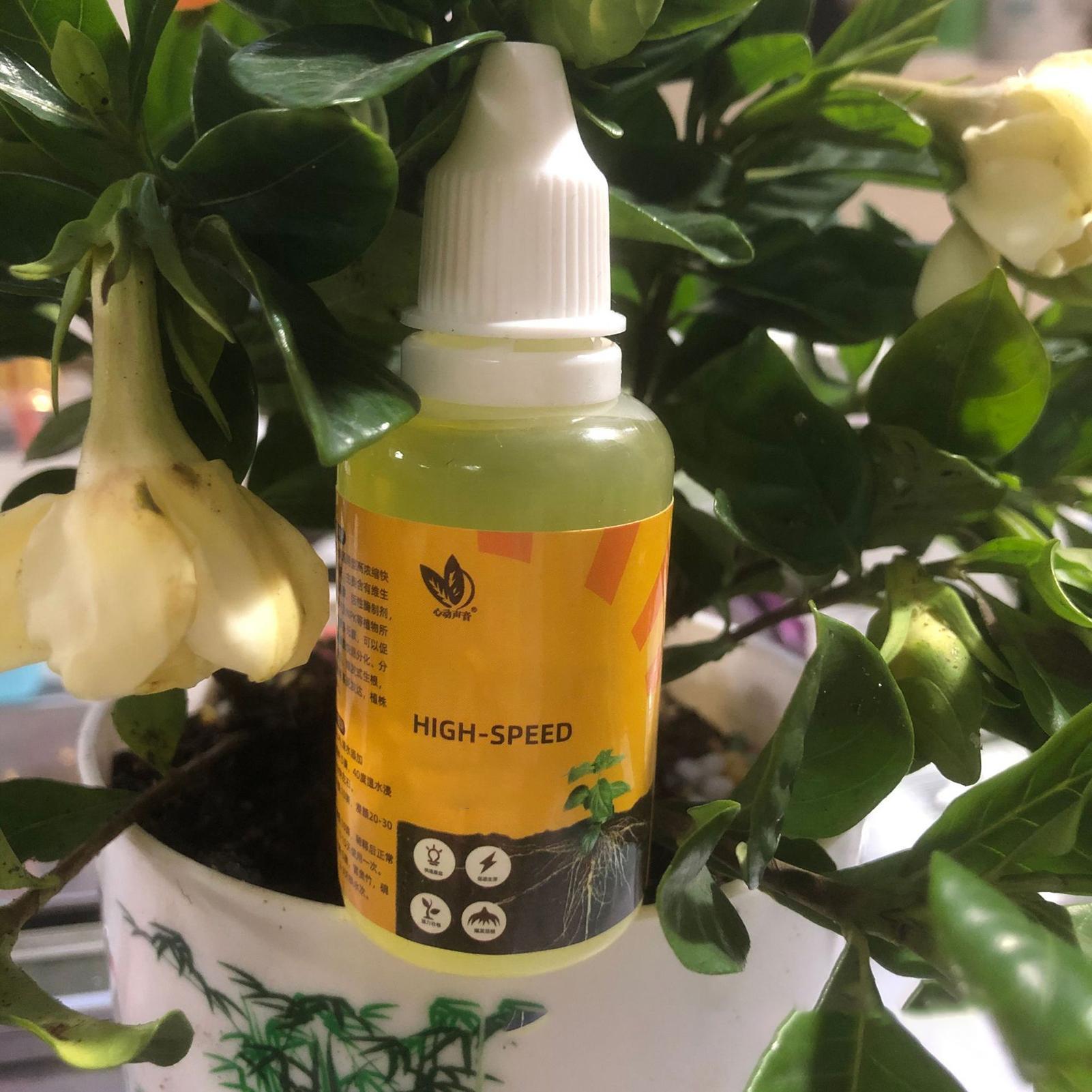 Suplemento de solución nutriti - Root Stimulator Liquid reseña y precio