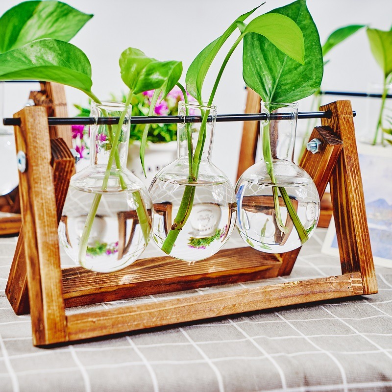 Maceta de vidrio de mesa, esta - Propagation Station Vase reseña y precio