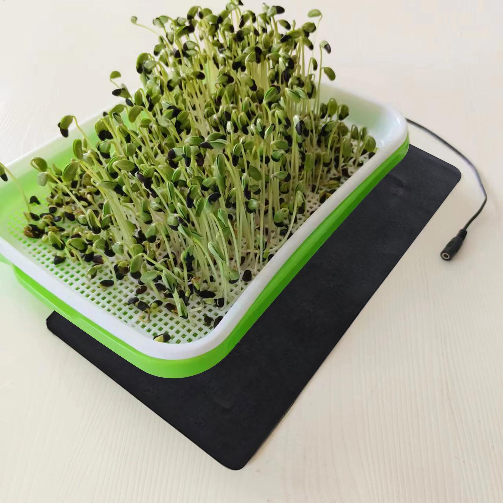 Alfombrilla Térmica para Plánt - Heat Mat Seedling reseña y precio